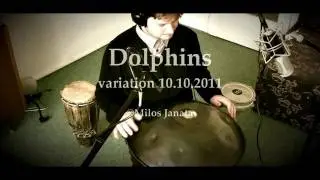 Dolphin theme - hang drum show