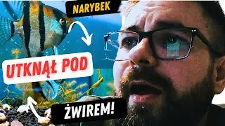 Pierwszy miot na nowym regale! ZOBACZ CO POSZŁO NIE TAK!