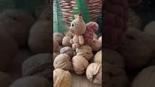 Busted 🐿️ What is your favourite animal?