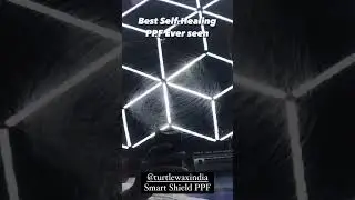 Self-Healing Test on TurtleWax PPF