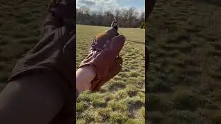 Playing catch with a vintage baseball glove
