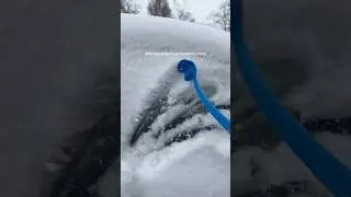 Just a girl (and dog mom) #dogmom #snowstorm #justagirl #snow #petparents #tiktoktrend #tiktokvideo