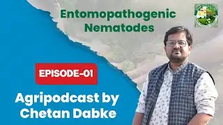 Entomopathogenic Nematodes, History of EPNs, Organic Farming, Agri Podcast by Chetan Dabke Ep -  01