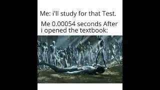 Funny Memes Compilation #MEMES #Memesdaily  #Shorts 271
