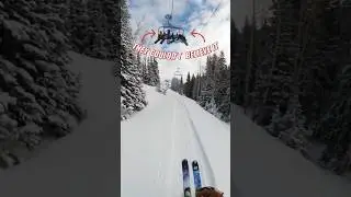 Full Send Through the Forest &ndash; No Brakes 🥶⛷️