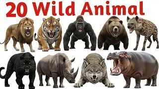 20 जंगली जानवरों के नाम | Wild Animals Names for Kids | Animals Learning Video
