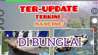 MANCING NILA LIAR - DI DESA BUNGLAI | DESA SUNGAI LUAR | APUI KEC.ARANIO | TERBARU 2020 episode #8