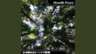 Pure Solace in Silence