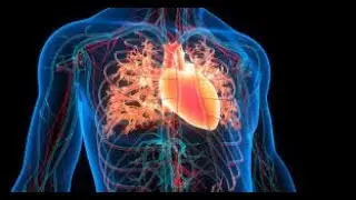 God's Battle Plan Against Cardiovascular Disease