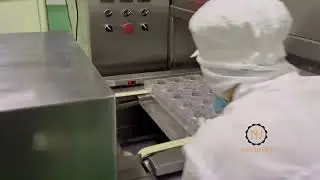 Bonbon/Truffle chocolate ball modular moulding machine