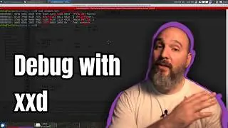 Master Debugging with xxd: Inspect Program Output at a Byte Level for Automation & Clean Code!