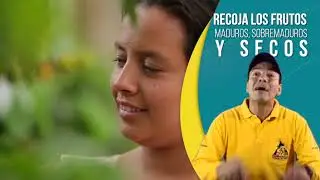 Tip del Profesor Yarumo - El Repase