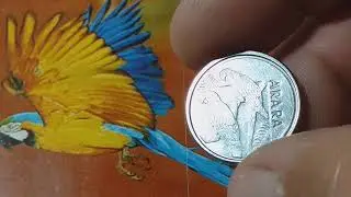 MOEDA ESCASSA DA ARARA E OUTRA RARISSIMA! (surpresa)💱💲