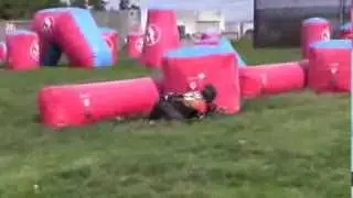 AAF Vintage Scrim 5/30/2015