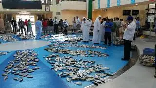 Fish Auction at Sharjah Fish Market at Jubail Souq 26.04.2018