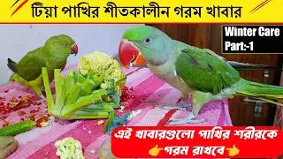 শীতকালে পাখিদের কি কি খেতে দেবেন? Winter Care Part 1 || Parrot Best Food for Winter🌿🥑