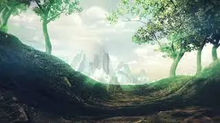 Forest. 3D animation. Cinema 4D and Redshift