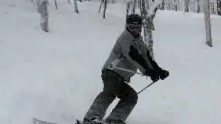 Stratton woods