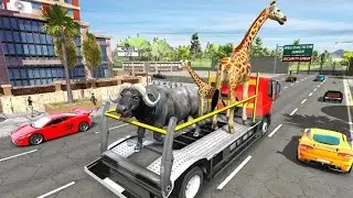 Zoo Animal Transport Simulator  ( By Desert Safari Studios ) Android Gameplay [ HD ]