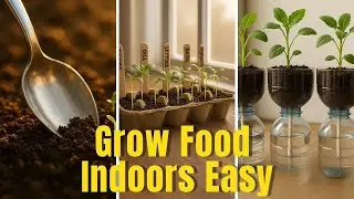 My Top 10 Proven Garden Hacks That Actually Work (No Myths, Just Results!)