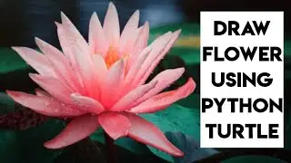 Amazing #Python graphics animation using #turtle | Draw Flower🌺🌻🌹🌷 using turtle | #short#shorts