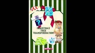 Christmas Tree Transformation 🎄