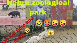 Zoo Mein Pehli Baar 😱 | Animals Ka Close Experience | Vlog!&lrm;⁨@aleem.bikedoctorvlogs