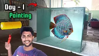 Day 1 - Discus Dream Tank Build Series 🌿| How to Paint Aquarium Background at Low Cost | 