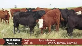 Ty & Melissa, Brad & Tammy Corbiell Lot 15