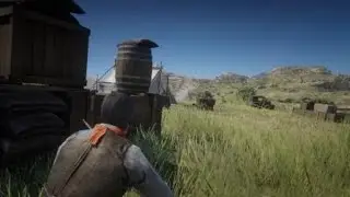 Red Dead Redemption 2 kill count