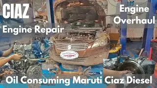 Oil Consuming Maruti Suzuki Ciaz Diesel Engine Repair | Engine Overhaul | ASC