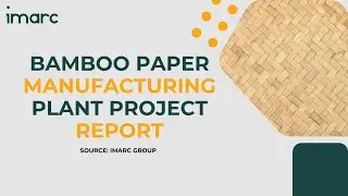 Detailed Report on Bamboo Paper Manufacturing Plant Setup