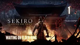 Sekiro Shadows Die Twice- The One-Armed Wolf