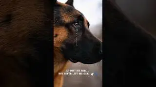 He lost his hero&hellip; but never left his side.&rdquo; 🕊️🐾 #armydogs #military #emotional