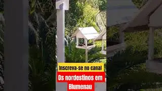 Eles vieram nos visitar &hearts;️ #shorts #blumenau #nordestinos #visita