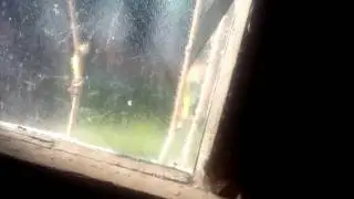 паранормальные явления