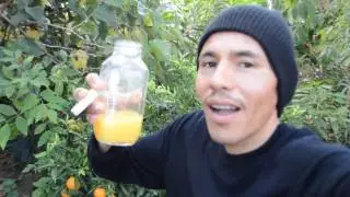 High Vibration Fruit