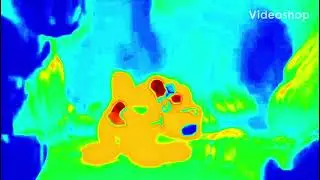 Genie As Laddie The Dog (Thermal)