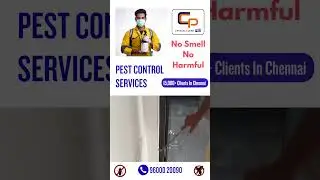 Effective Pest Control Services in Chennai | Keep Your Space Pest-Free with Crystal Clear Pro