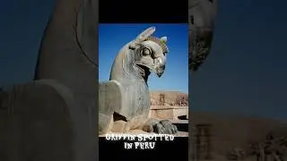 A Griffen spotted in Peru!