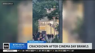 Malls searching for answers after chaotic Cinema Day brawls