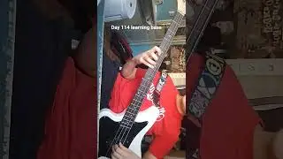 Day 114 learning bass #bass #journey #learning #bassguitar #learningbass #bassjourney