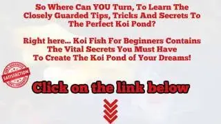 Koi Pond Pump Size