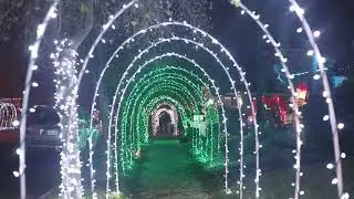 Holiday Lights - Tunnels of Joy - 2025, Brentwood, CA