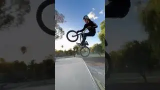 Lil edit #bmx #backflip #skatepark #tailwhip #edit #tricks