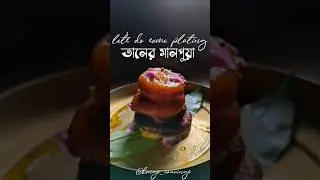 Let's do some platings 👌🏻 #platingideas #platinguide #dessart #indiansweet #youtubeshorts #views