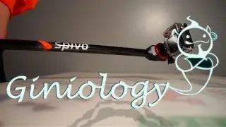 (BEST GOPRO POLE) Spivo stick