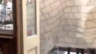 wall