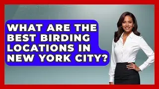 What Are the Best Birding Locations in New York City? | Bird Watching Diaries