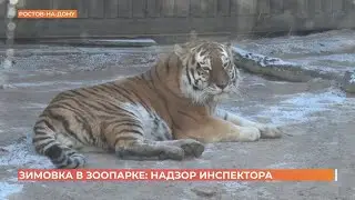 Инспекторы ветконтроля проверили, как проходит зимовка зверей в Ростовском  зоопарке